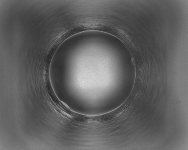 X0000052650596200507011414