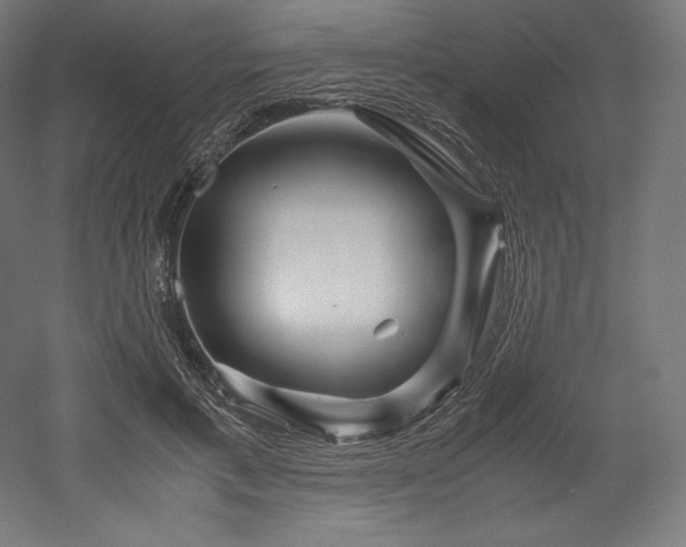 X0000052650597200507011414