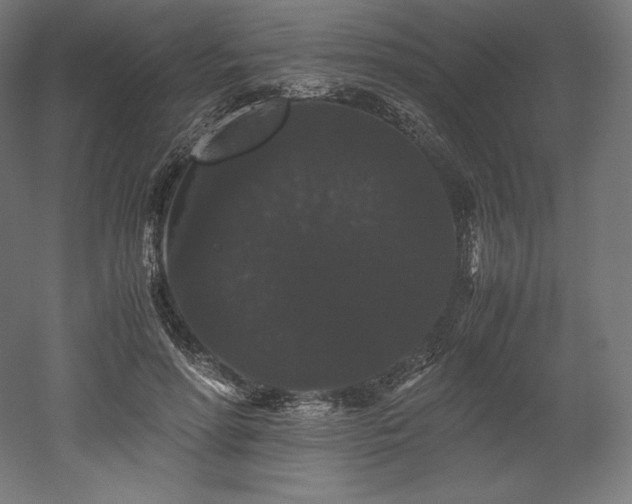 X0000052650598200507011414