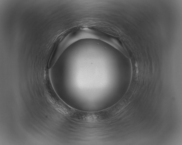 X0000052650600200507011414