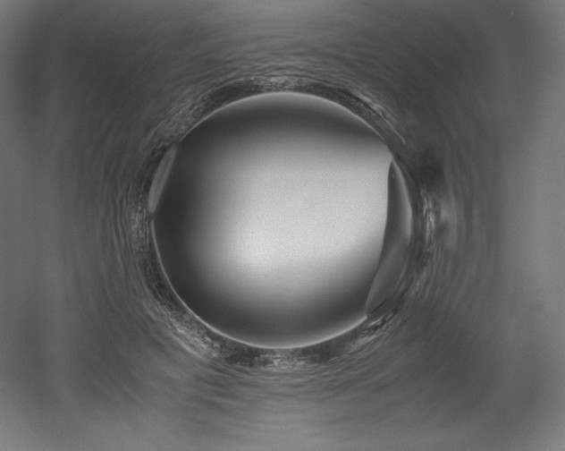 X0000052650601200507011414
