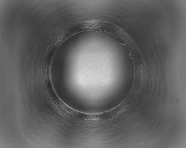 X0000052650602200507011414