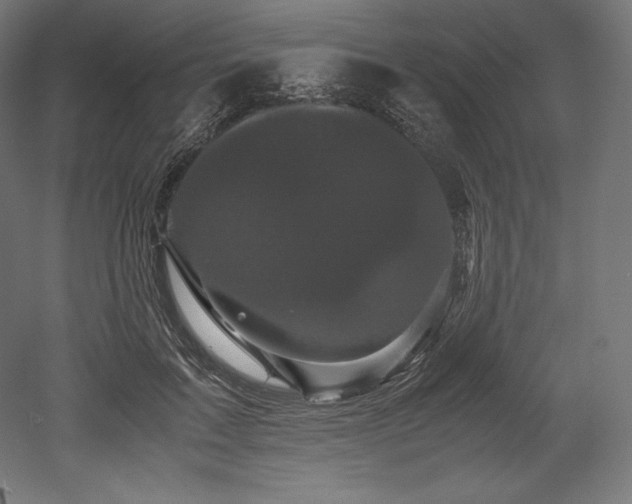 X0000052650603200507011414