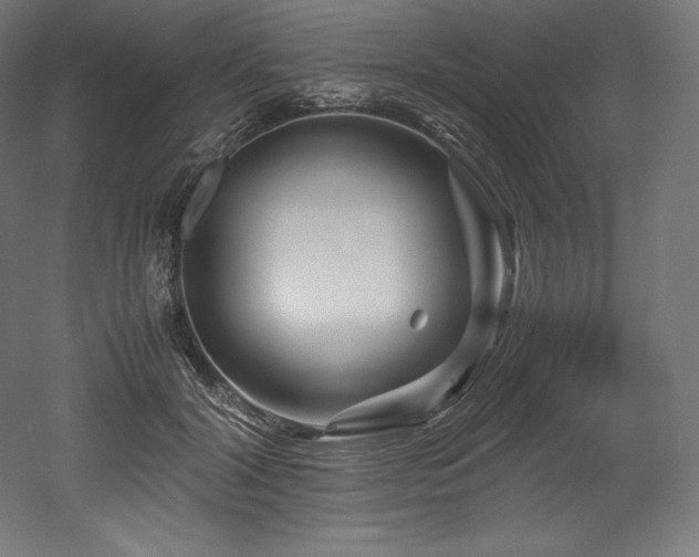 X0000052650604200507011414