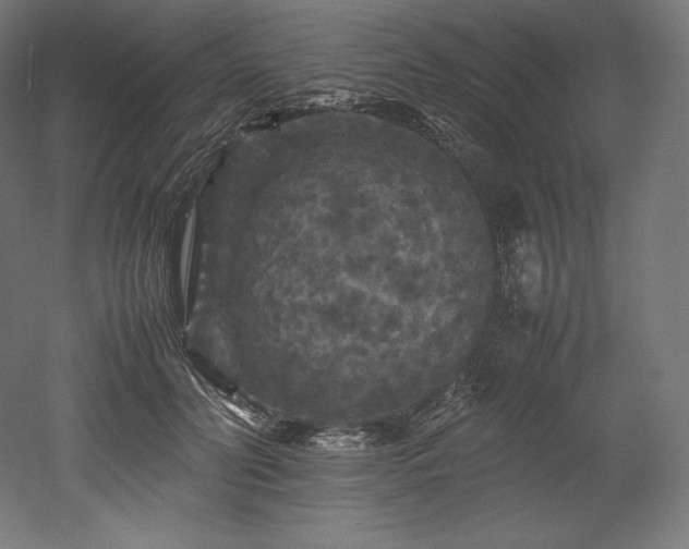 X0000052650606200507011414