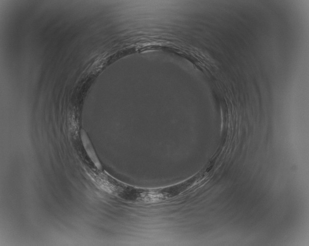 X0000052650607200507011414
