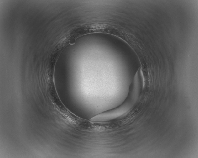 X0000052650608200507011414