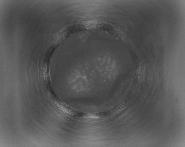 X0000052650610200507011414