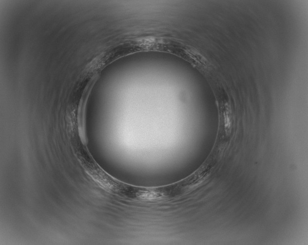 X0000052650611200507011414
