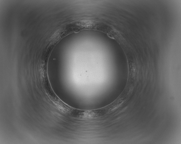 X0000052650612200507011414