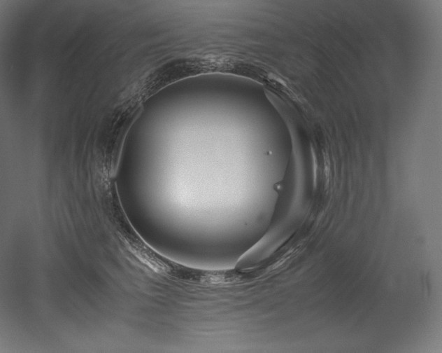 X0000052650613200507011414