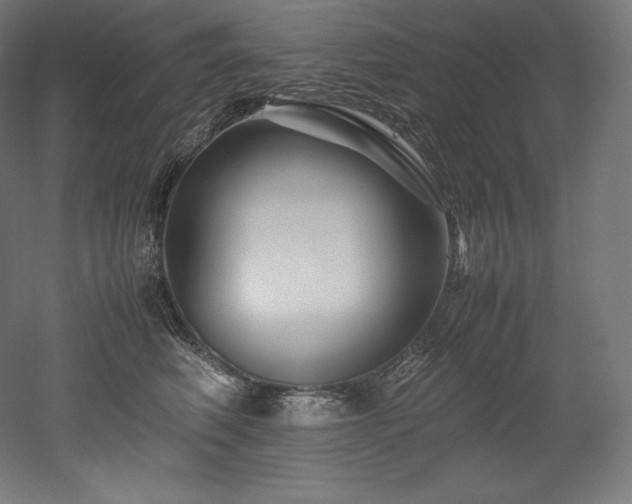 X0000052650614200507011414