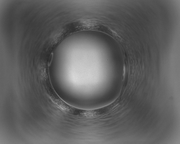 X0000052650615200507011414