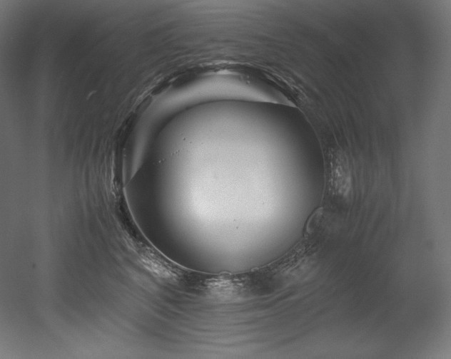 X0000052650616200507011414