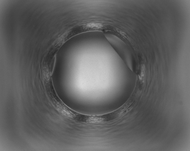 X0000052650617200507011414