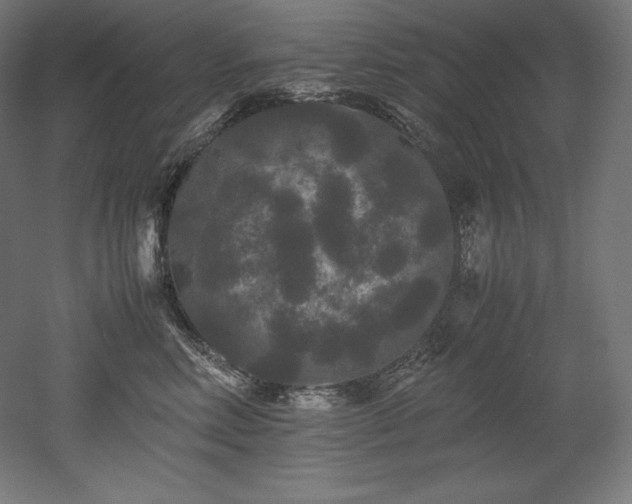 X0000052650618200507011414