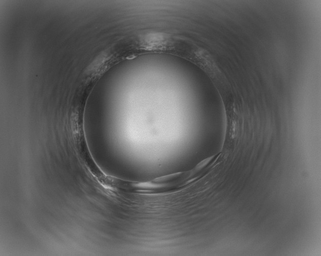 X0000052650620200507011414