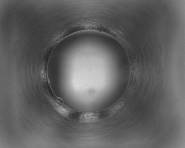 X0000052650622200507011414