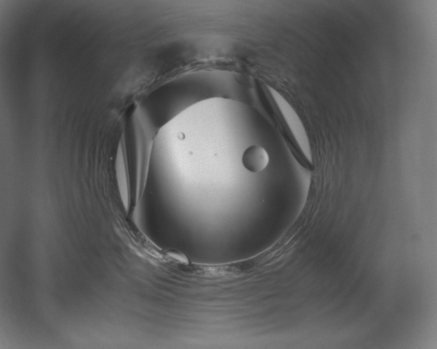 X0000052650623200507011414