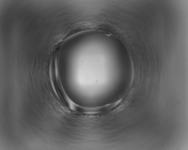 X0000052650624200507011414