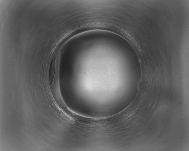 X0000052650625200507011413