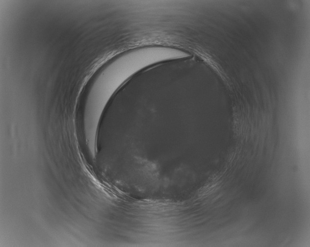 X0000052650626200507011413