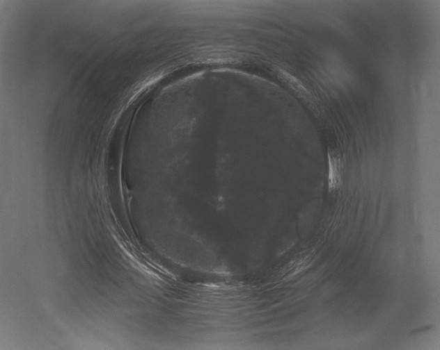 X0000052650627200507011413