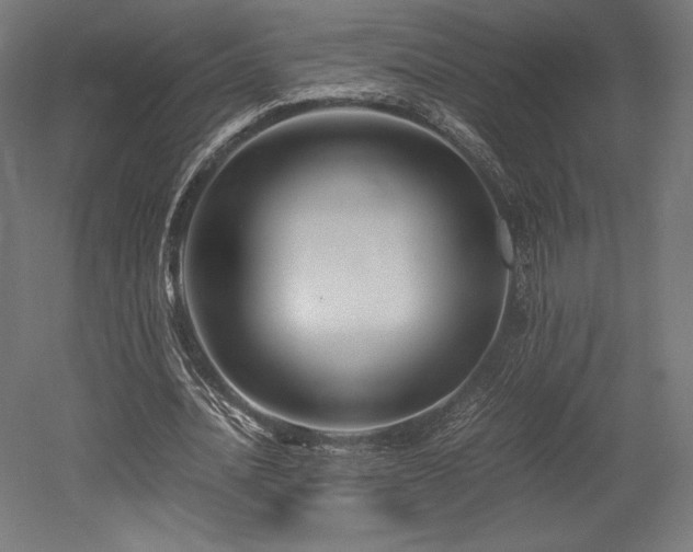 X0000052650628200507011413