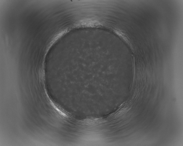 X0000052650630200507011413