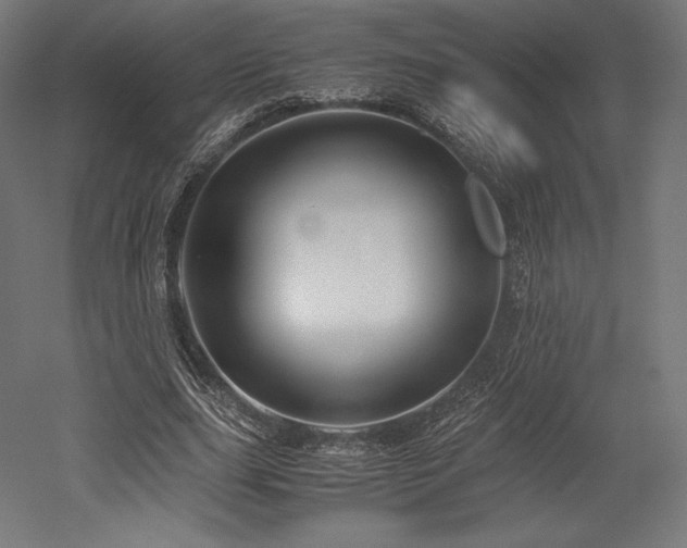 X0000052650631200507011413