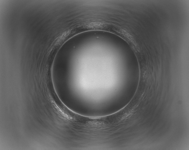 X0000052650633200507011413