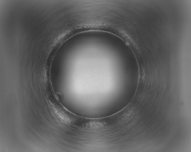 X0000052650636200507011413