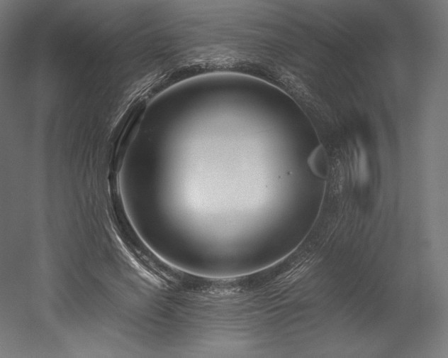 X0000052650638200507011413