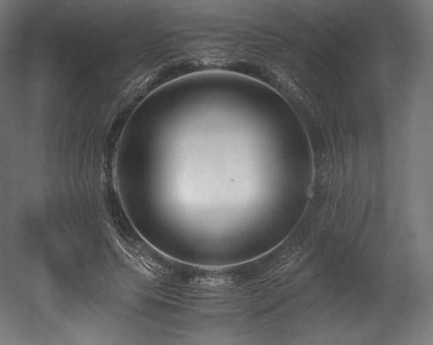 X0000052650639200507011413