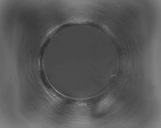 X0000052650640200507011413