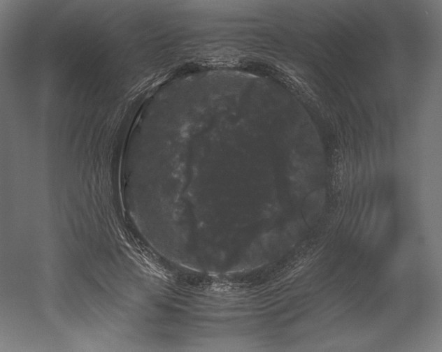 X0000052650641200507011413