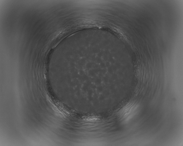 X0000052650643200507011413