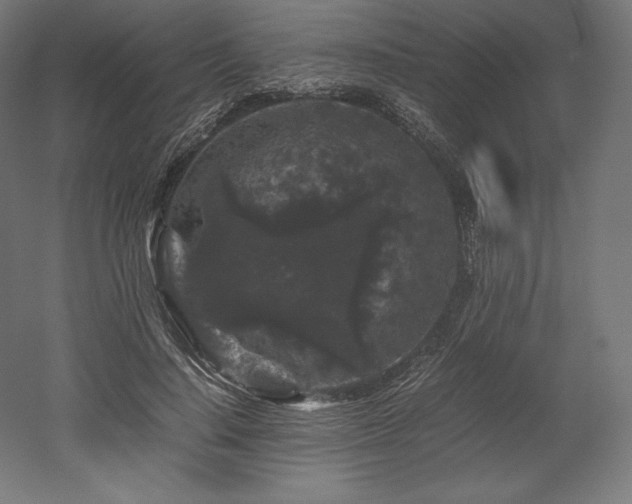 X0000052650644200507011413