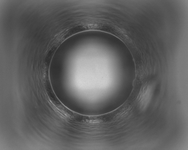 X0000052650645200507011413