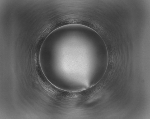 X0000052650646200507011413