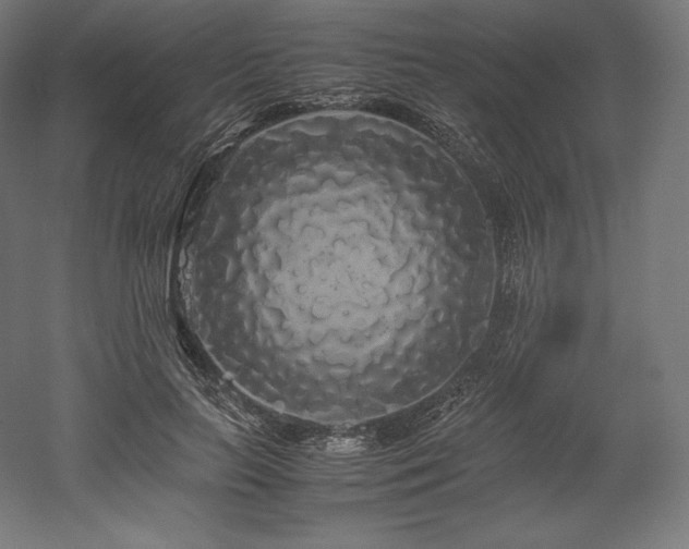 X0000052650647200507011413