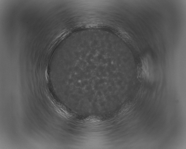X0000052650648200507011413