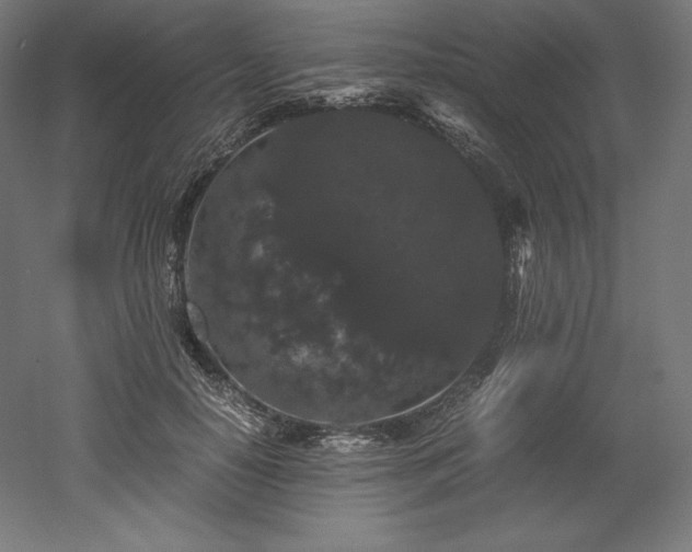 X0000052650650200507011414