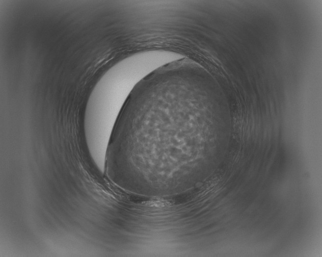 X0000052650652200507011414