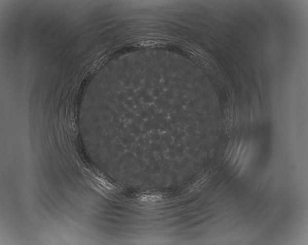 X0000052650653200507011414