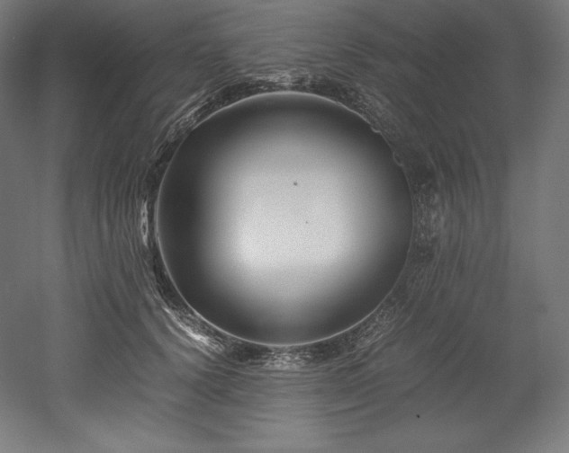 X0000052650656200507011414