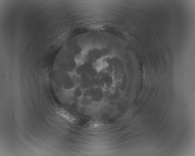 X0000052650658200507011414