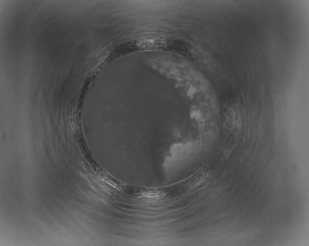 X0000052650659200507011414