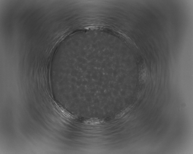 X0000052650661200507011414