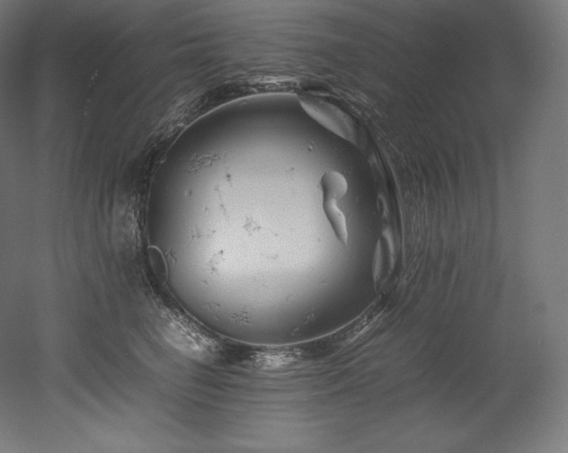 X0000052650662200507011414